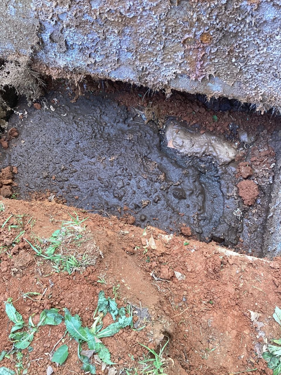 Septic Tank Pumped After 18 Years – New Lids Added – photo 2