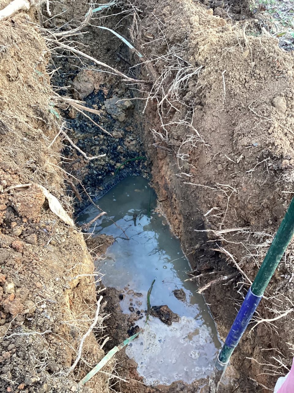 Septic Tank Pumped and Field Lines Checked – photo 2