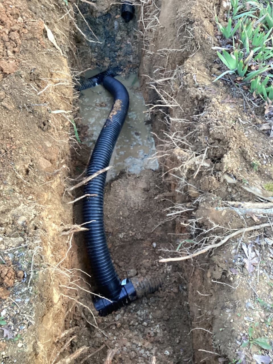 Septic Tank Pumped and Field Lines Checked – photo 4
