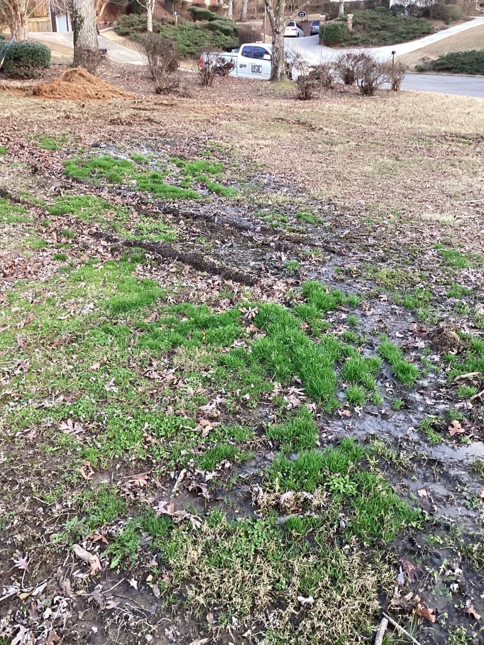 Septic Tank Pumped and Field Lines Checked – photo 5