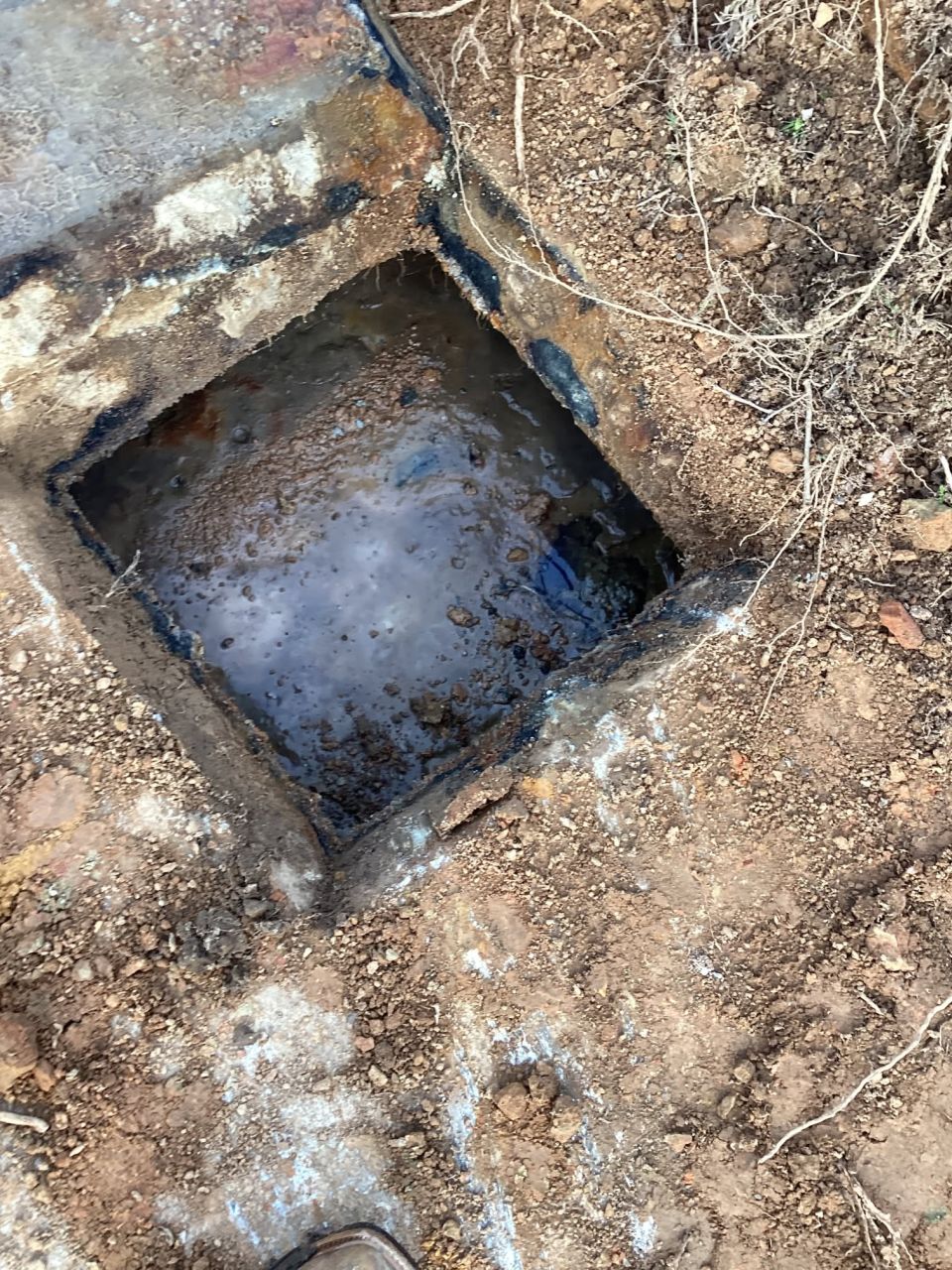 Septic Tank Pumped and Field Lines Checked – photo 8