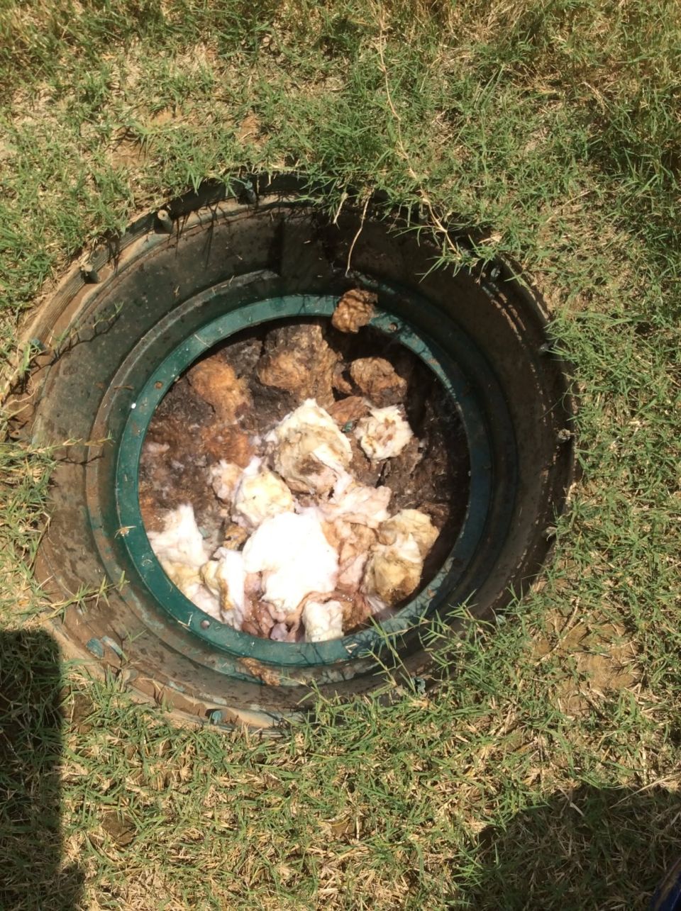 Weekend Septic Tank Pumping – photo 2