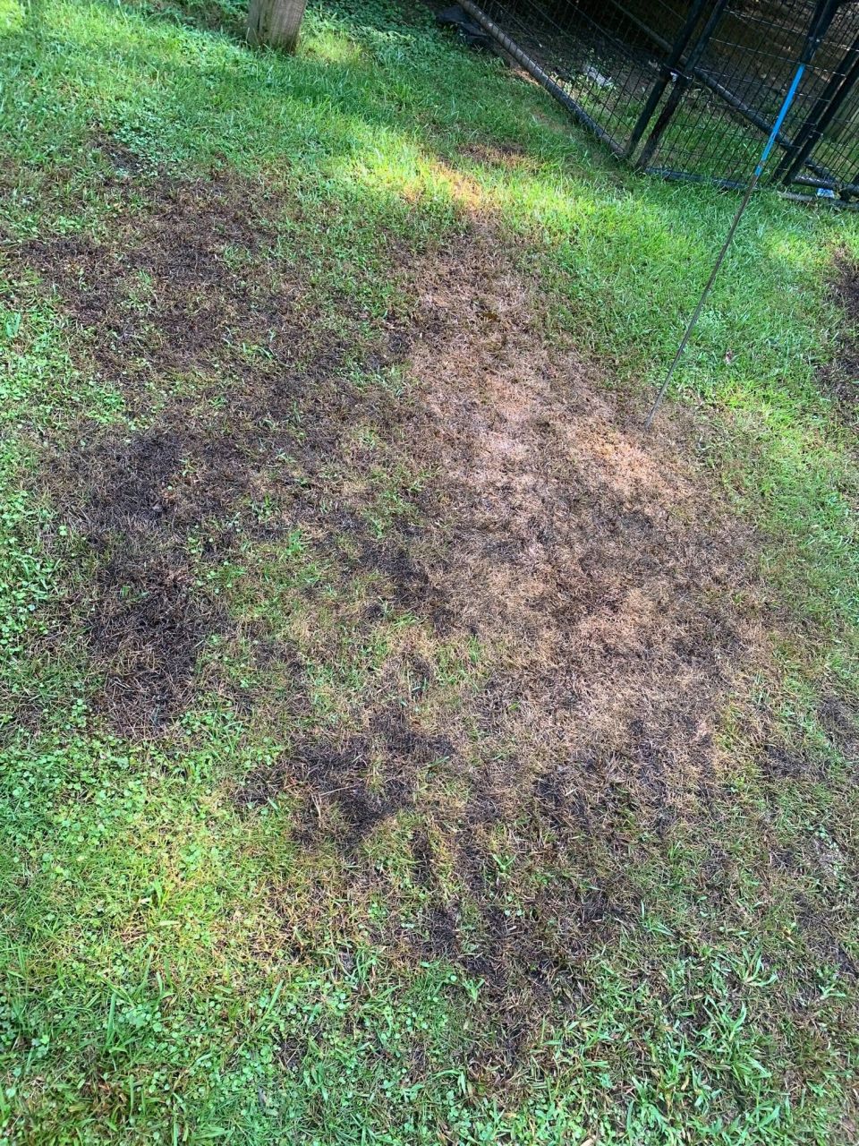 Field Lines Repaired with a Backhoe – Crossover Line Added – photo 2