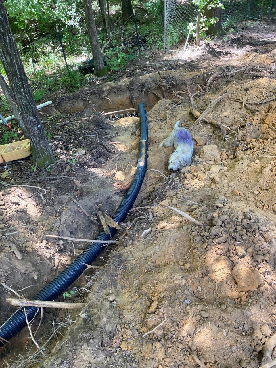 Field Lines Repaired with a Backhoe – Crossover Line Added – photo 5