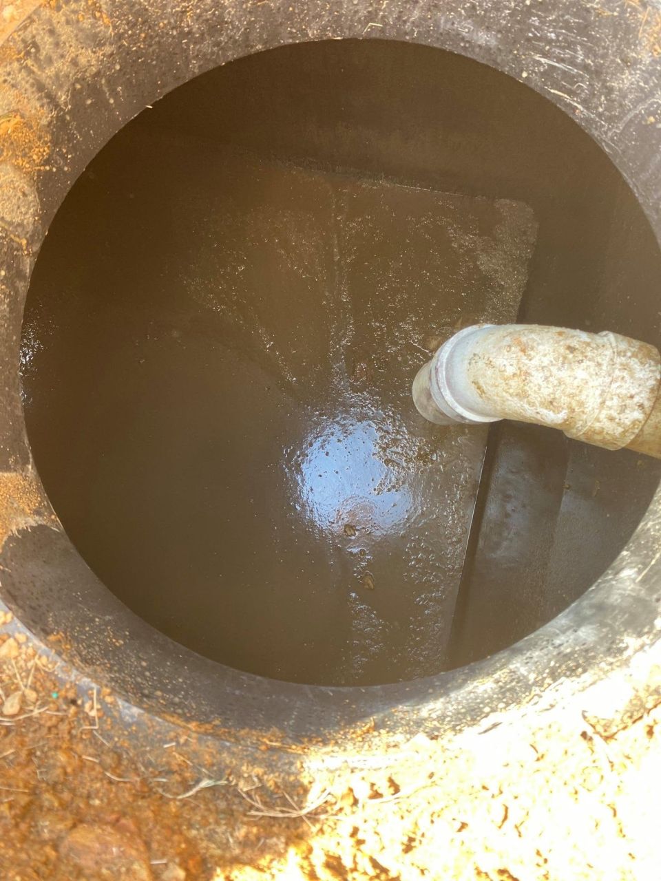 Sewage Coming Up in the Yard – Fixed – photo 4