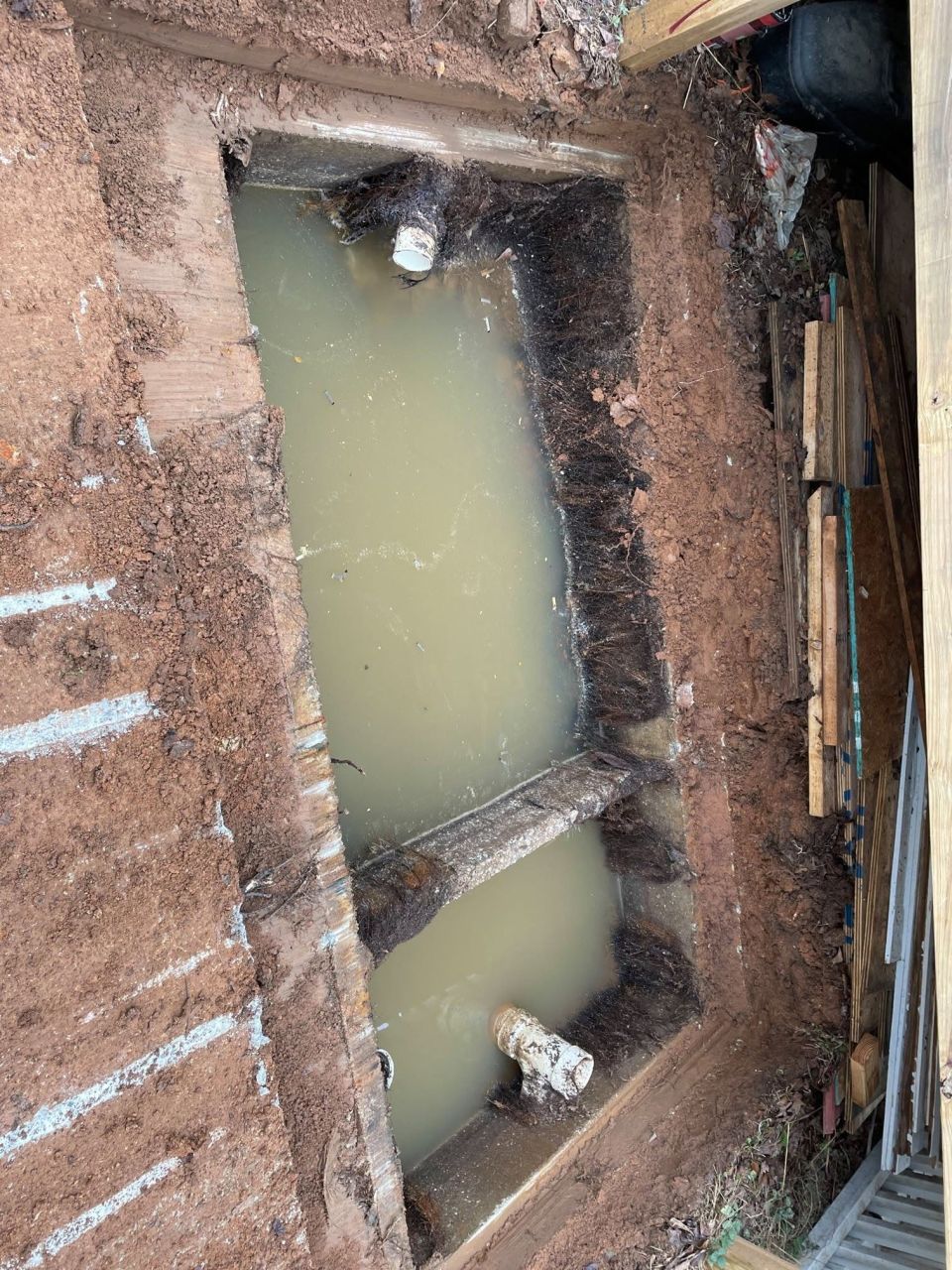 Roots Cleaned Out of a Septic Tank in Bessemer – photo 2