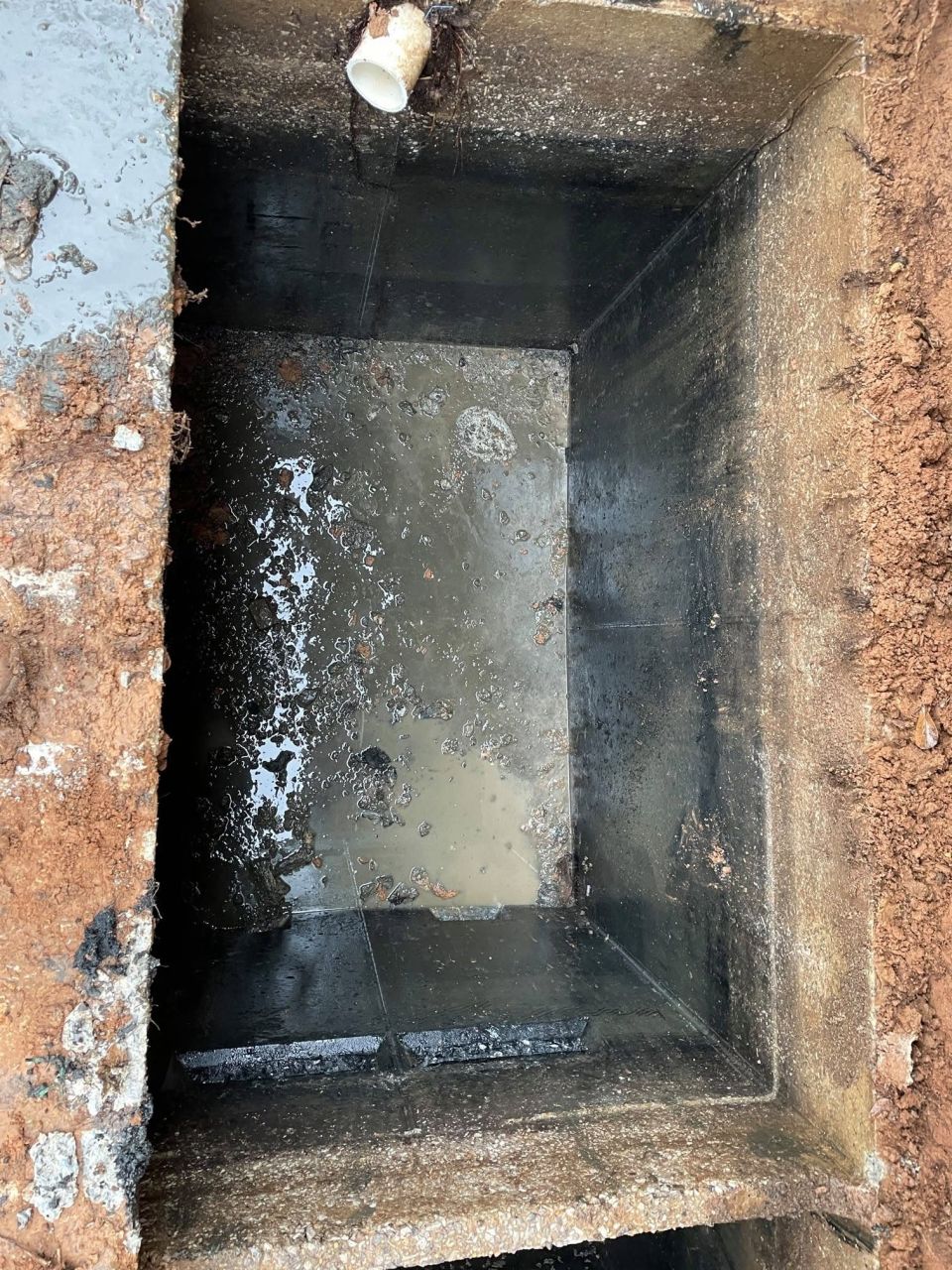 Roots Cleaned Out of a Septic Tank in Bessemer – photo 3
