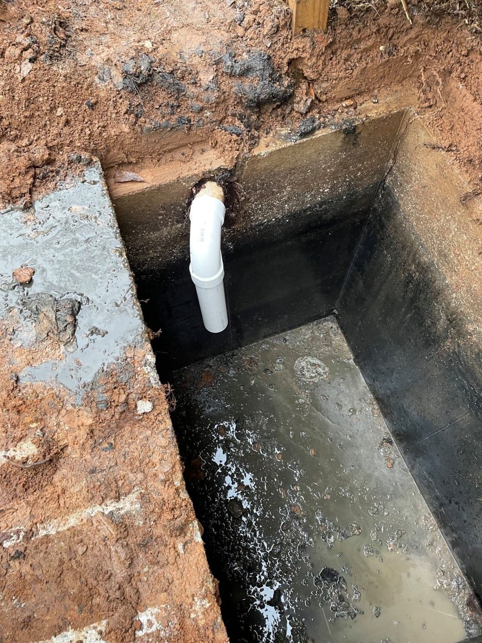 Roots Cleaned Out of a Septic Tank in Bessemer – photo 4